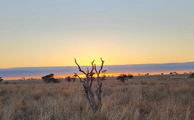 Kruger National Park