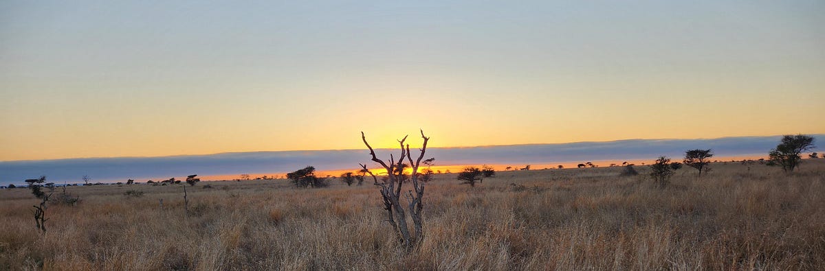 Kruger National Park